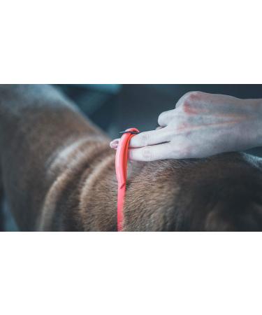 Vetocanis Red Dog Control Collar - 7 Years | Effective Training Solution - Buy Online on GoSupps.com