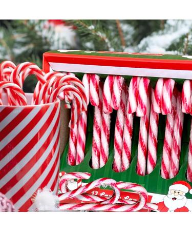 Mijoma Strawberry Candy Canes - Natural Red/White Striped Christmas Tree Decorations & Gift Hangers (12 x 12g Pack) - Buy Online on GoSupps.com