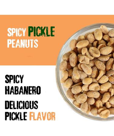 KICKIN Spicy Pickle Hot Peanuts - 12oz | Ultimate Gourmet Gift | Spicy & Delicious - Try if you dare! - Buy Online on GoSupps.com