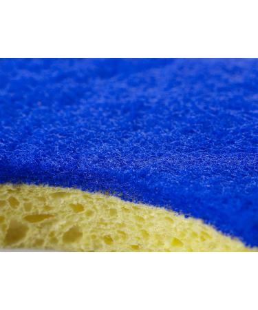 Spontex Dish Sponge 2-Pack | Scratch-Free & Highly Absorbent | International Shipping Available - Buy Online on GoSupps.com