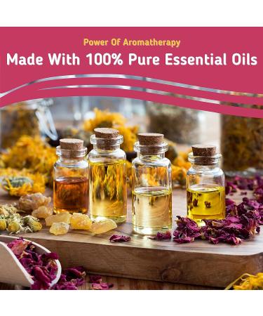 Love Insignia Aromatherapy Shower Steamers - Set of 6 XL Organic Shower Bombs with Pure Essential Oils | Stress Relief & Relaxation Gift | Perfect for Mother's Day & Birthday - Buy Online on GoSupps.com