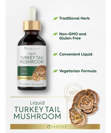 Carlyle Turkey Tail Mushroom Extract Liquid | 2 FL Oz | Herbal Tincture Drops | Vegetarian Formula | Non-GMO Gluten Free Supplement - Buy Online on GoSupps.com