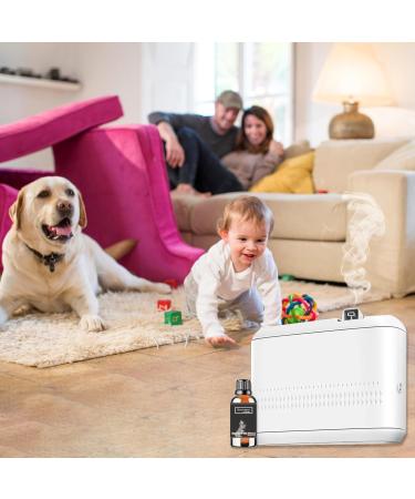 Elegant Charisma Essential Oil Inspired by Shangri-La Hotel for Diffusers, Pure Hotel Diffuser Oil, Cedarwood and Sandalwood, Home Luxury & Hotel Scent - 30ML - Buy Online on GoSupps.com