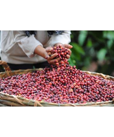 Nestl Netherlands Nescaf Original instant coffee 6 pots of 200 grams - Buy Online on GoSupps.com