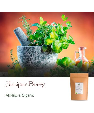Juniper Whole Berry Organic Tea - Juicy And Large - Carefully Dried Berries - Juniper Berries Tea Juniper Berry Tea Juniper Berries Organic 100g - Buy Online on GoSupps.com