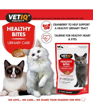 VetIQ Healthy Bites Urinary Care Cat Treats 8x 65g - Cranberry Supplement for Urinary Health - Cheese & Catnip Flavored Kitten Treats - Prebiotic Fibre for Cat Health - Buy Online on GoSupps.com