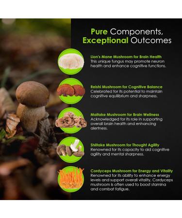 FitoHerbs Mushroom Complex - Shiitake, Lions Mane, Cordyceps, Turkey Tail, Maitake, Reishi, Agaricus Mushrooms Supplement Capsules - Cognitive Improvement - Immune Support - Energy Booster - 90 Caps - Buy Online on GoSupps.com