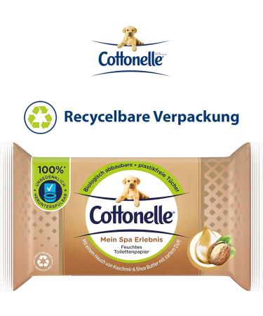 Cottonelle Moist Toilet Paper - Spa Experience with Cashmere & Shea Butter | Eco-Friendly Biodegradable Plastic-Free - 12x42 Wet Wipes Advantage Pack - Buy Online on GoSupps.com