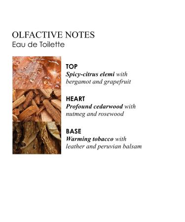 Molton Brown Tobacco Absolute Bath & Shower Gel | Luxurious Body Wash - Buy Online on GoSupps.com