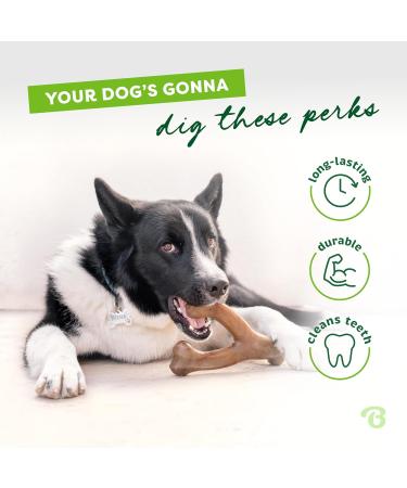 Benebone Wishbone Real Peanuts Medium Durable Dog Chew Toy for Aggressive Chewers | International Shipping Available - Buy Online on GoSupps.com