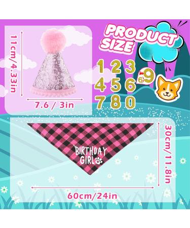 Amaxiu Dog Birthday Party Set - Bling Birthday Hat & Plaid Bandana for Small Medium & Large Dogs - Pink - Buy Online on GoSupps.com