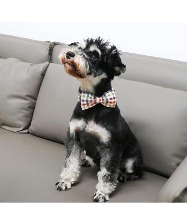 Unique Style Paws Dog Collar - Comfortable Cotton Fly Collar for Young Girls' Dogs S Size (Neck 10-16in) - Colorful Grille & Metal Buckle - Buy Online on GoSupps.com