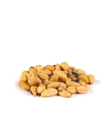 Roasted Salted Brazil Nuts - 32 oz (2 Pounds) | Healthy Snack for Vegan, Keto & Paleo Diets | Kosher & 100% Natural | Ideal for Baking & Cooking - Buy Online on GoSupps.com