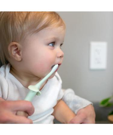 Dr. Brown's Infant-to-Toddler Training Toothbrush Set - Mint Elephant & Fluoride-Free Strawberry Baby Toothpaste for 0-3 Years - Buy Online on GoSupps.com