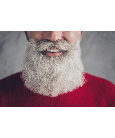 Buy Hairgum Barber Castor Beard Oil 40ml - Nourish Your Beard | International Shipping Available - Buy Online on GoSupps.com