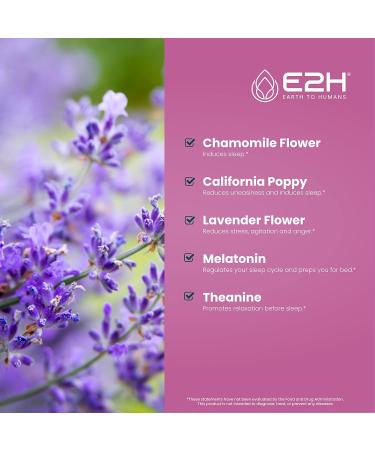 E2H Natural Sleep Aid - Liquid Melatonin with Chamomile Theanine - Sleep Better Deeper Longer - Vegan Gluten Free - Provides Stress Relief (2 Bottles) 2 Fl Oz (Pack of 2) - Buy Online on GoSupps.com