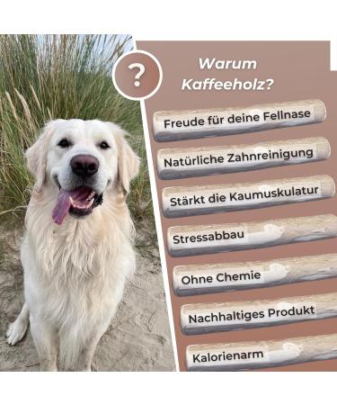 Zoys Coffee Wood Natural Chewing Bones for Dogs - Size L (15-25kg) | Caustab Dental Care & Sustainable Employment | Long-Lasting Dog Accessories - 1 Piece - Buy Online on GoSupps.com