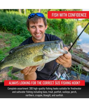 Fishing Hooks Assortment for Freshwater - Small Panfish, Bass, Trout, Bluegill - Ideal for Bass Fishing - Buy Online on GoSupps.com