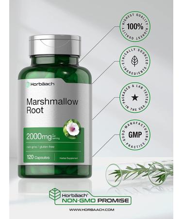 Marshmallow Root Capsules 2000mg - 120 Count | Non-GMO & Gluten Free | Traditional Herb Extract - Buy Online on GoSupps.com