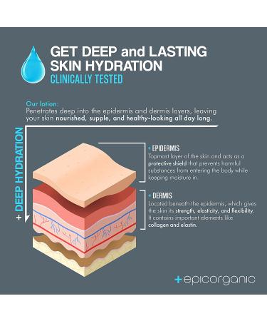 Organic Men's Face Cream | 24-Hour Hydration | Anti-Aging Moisturizer with Hyaluronic Acid, Collagen & Vitamin E | Improves Skin Texture | Men's Skin Care | 8oz - Buy Online on GoSupps.com