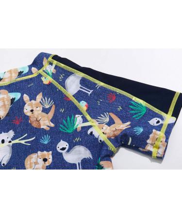 BONVERANO Baby Boys Swimsuit UPF 50+ Sun Protection | Koala Design | 3-6 Months - Buy Online on GoSupps.com