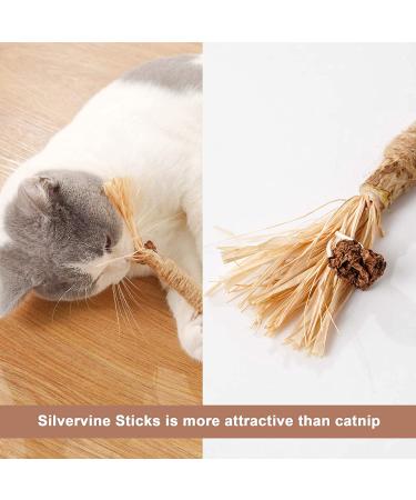 Catnip Chew Toy for Cats | Interactive Silvervine Stick for Kitten Teething | Teeth Cleaning Cat Toy - Buy Online on GoSupps.com