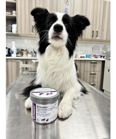 VETRADENT Powder Water Additive for Dogs & Cats with Biotrate Technology Fight Plaque & Tartar Freshen Breath Maintain & Promote Good Dental and Oral Hygiene 300g Made in USA - Buy Online on GoSupps.com
