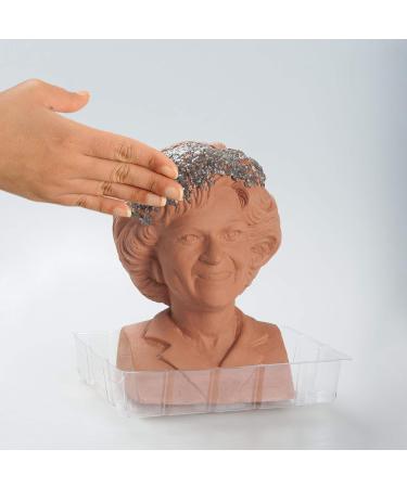 Joseph Enterprises Inc Golden Girls Chia Pet Rose Decorative Pottery Planter Golden Girls Rose - Buy Online on GoSupps.com