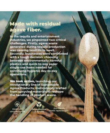 Sustainable Agave Co - Agave Fiber Spoons - Plastic-Free Biodegradable Compostable Plant-Based - Brown Bulk - 500 Count - Buy Online on GoSupps.com