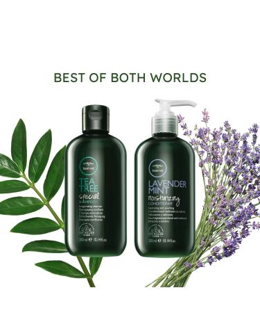 Tea Tree Lavender Mint Moisturizing Conditioner - Hydrating and Soothing for Coarse & Dry Hair - 10.14 Fl Oz (Pack of 2) - Buy Online on GoSupps.com