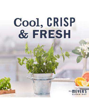 Mrs. MEYER'S CLEAN DAY Liquid Hand Soap Mint (12.5 Fl Oz (Pack of 3)) - Buy Online on GoSupps.com