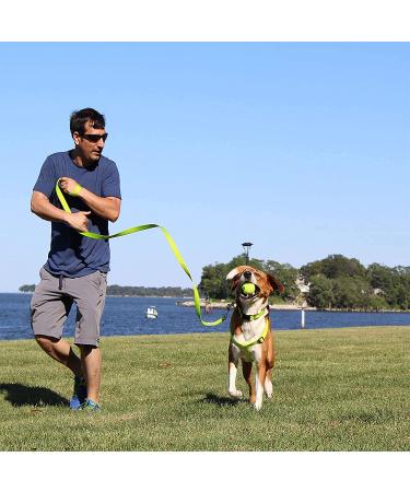 Pawtitas Reflective Step in Dog Harness - Control Walking of Your Puppy - Teal - Small/Medium/Large Harness - Buy Online on GoSupps.com