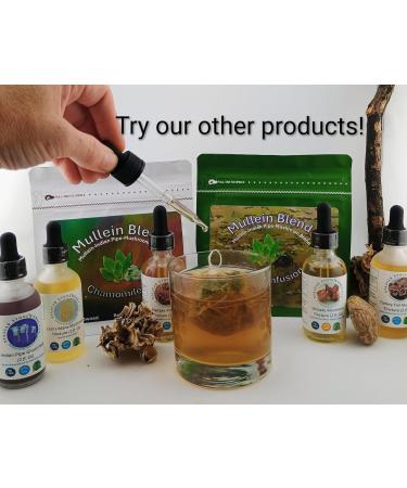 Stajcar Stoneworks Immunity Bundle, 4 Pack Deal Shiitake, Turkey Tail, Lion s Mane, Maitake Tinctures Heart, Immune, Cognitive, Nervous System, Holistic Wellness Support 4x2 Oz - Buy Online on GoSupps.com