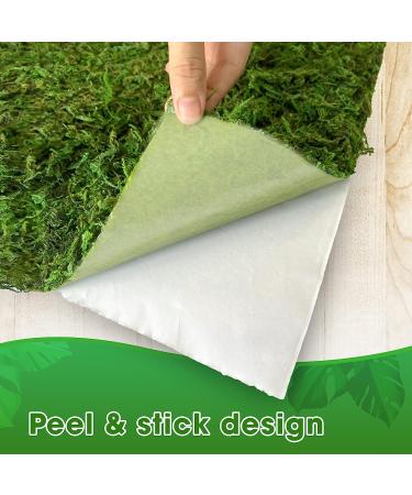 DUSPRO Moss Mat 2Pcs - Self Stick Moss for Crafts & Decor - 13x9.5 Inches - Ideal for Moss Wall Decor & Wedding Party - Green Sheet Moss - Buy Online on GoSupps.com