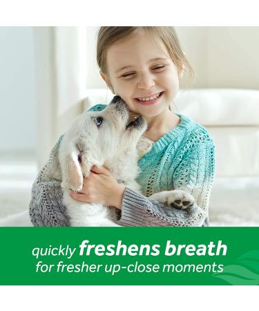 Fresh Breath Vanilla Mint Oral Care Spray for Dogs 4oz - Made in USA | TropiClean - Buy Online on GoSupps.com