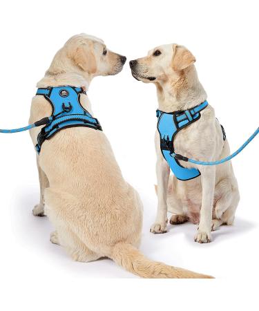 Nestrooad Anti Pull Dog Harness & Leash Set for Large Dogs - Blue XL (Neck 43-64cm Chest 53-89cm) | Comfortable & Safe Dog Walking Solution - Buy Online on GoSupps.com