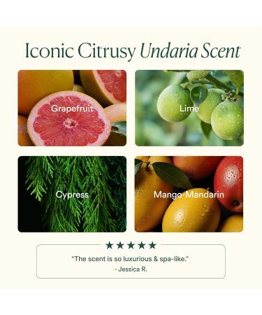 OSEA Undaria Algae Body Wash - pH Balanced - Hydrating & Moisturizing Citrus Scented Cleanser - Clean Vegan Non-Toxic Skincare - 8oz - Buy Online on GoSupps.com