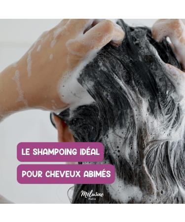  MELUSINE COSMETICS SOLID SHAMPOOS - ZERO WASTE (ABIME HAIR) - Buy Online on GoSupps.com