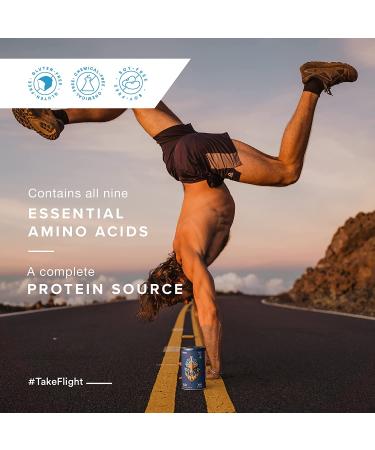 Birdman Falcon Protein | Vegan Non Whey Protein Sports Keto Friendly Kosher Gluten Free Plant Based Non-Dairy Chocolate Flavor - 21 Servings - 1.38 lb - Buy Online on GoSupps.com