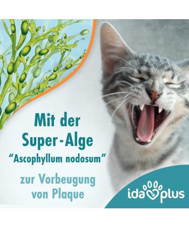 Ida Plus Dental Care Mini Sticks for Cats - Anti-Plaque Treats Freshens Breath Cleans Teeth - 80 Delicious Pieces - Buy Online on GoSupps.com