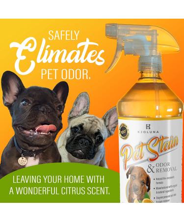 KJOLUNA Pet Stain & Odor Eliminator - Enzyme Powered Solution | 32oz Made in USA - Buy Online on GoSupps.com