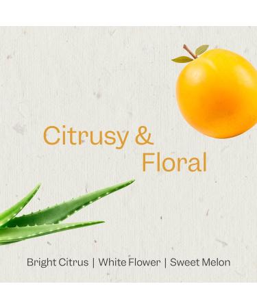 Renpure Plant Based Marula Oil & Aloe Shampoo | Ultra Smoothing for Dry Frizzy Hair | Paraben Free Hydrating Formula | 24 fl oz - Buy Online on GoSupps.com