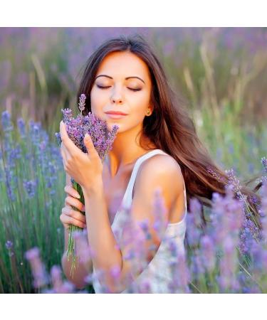 Beessential Natural Lavender Body Wash | Sulfate-Free Shower Gel with Essential Oils | 16 oz for Men & Women - International Shipping Available - Buy Online on GoSupps.com