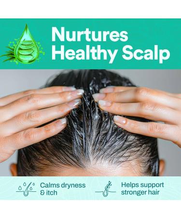 ATAMAZE 500 ml Pure Aloe Vera Gel for Hair and Skin Hydrating & Non-Sticky Soothes Scalp and Skin No Strong Scent Lightweight & Fast-Absorbing Pure Aloe Vera Gel for Body glass bottle. - Buy Online on GoSupps.com