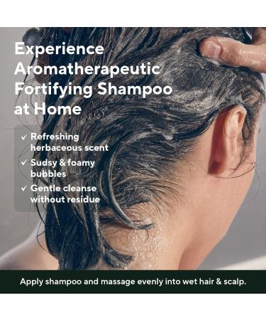 AROMATICA Plant-Based Vegan Shampoo Collection - Rosemary Tea Tree Quinoa - Sulfate, Silicone, and Paraben-Free - Trial Set - Buy Online on GoSupps.com