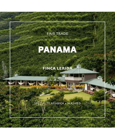 Panama Boquete Award Winner - Lerida Single Origin 2 Lb Unroasted Green Coffee Beans by Grand Parade Coffee - Buy Online on GoSupps.com
