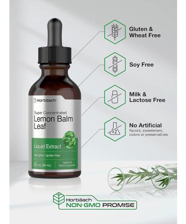 Horb ach Lemon Balm Tincture | 2 fl oz | Melissa Officinalis Leaf | Vegetarian Liquid Extract | Non-GMO Gluten Free Supplement - Buy Online on GoSupps.com