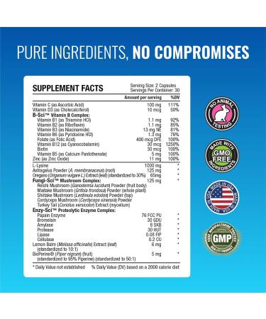 Approved Science Zosterex - Extra-Strength L-Lysine 1000mg, Vitamin B Complex, Zinc - Immune Support & Cold Sore Treatment - 60 Vegan Capsules - 1 Bottle 60 Count (Pack of 1) - Buy Online on GoSupps.com