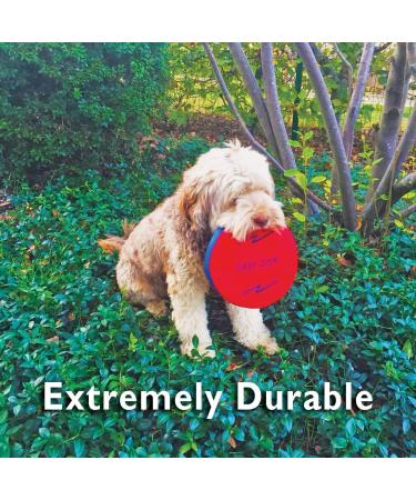 Funsparks Easy Disk Red Small - Soft Catch Frisbee for Kids and Adults - Indoor/Outdoor Flying Disc - Improve Hand-Eye Coordination - Buy Online on GoSupps.com