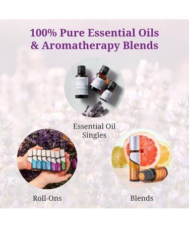 Aromatics International Premium Organic Peppermint Essential Oil 5ml | 100% Pure Essential Oil for Diffusion & Aromatherapy Peppermint 0.17 Fl Oz (Pack of 1) - Buy Online on GoSupps.com